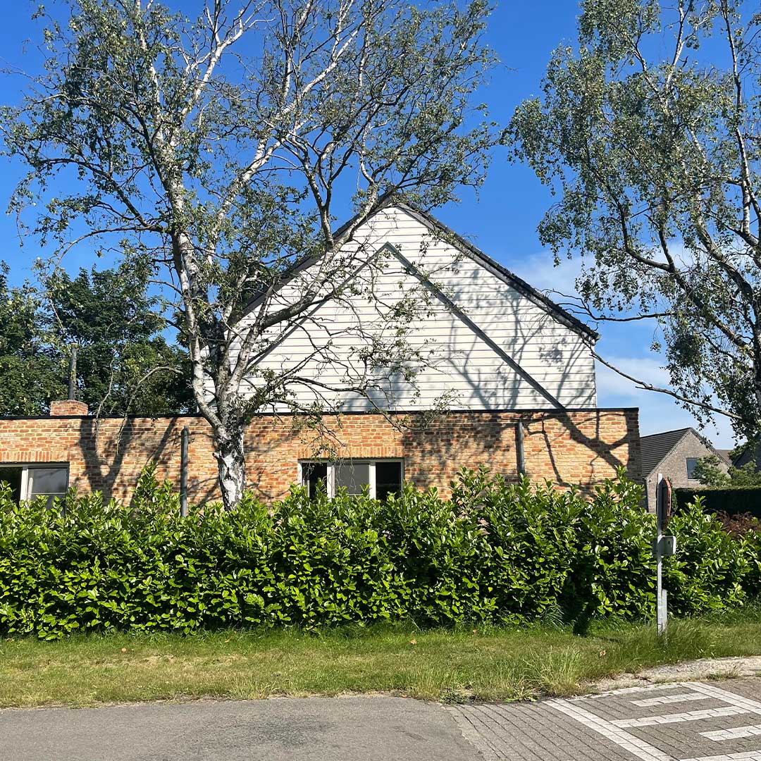 Lommel-gallery-1